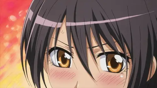 Kaichou wa Maid-sama! Temporada 1 Episodios 25 • Sub Español