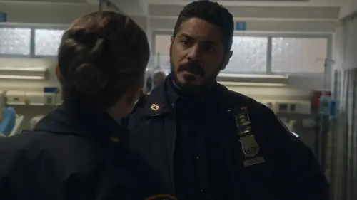 Familia de policías Temporada 14 Episodios 2 • Sub Español