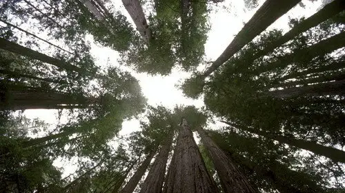 Planeta Tierra Temporada 1 Episodios 10 • Sub Español