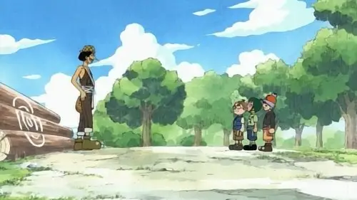 One Piece Temporada 1 Episodios 17 • Sub Español