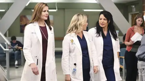 Anatomía de Grey Temporada 11 Episodios 1 • Sub Español