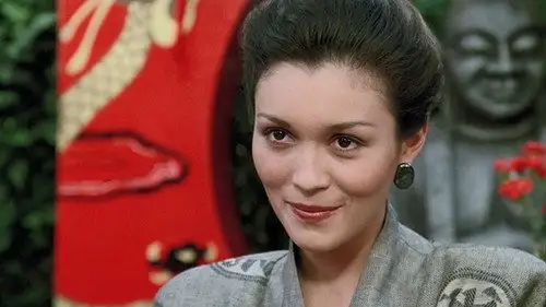 Magnum 1980 Temporada 7 Episodios 17 • Sub Español