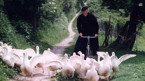 Don Matteo Temporada 1 Episodios 11 • Sub Español