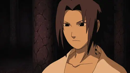 Naruto Shippuden Temporada 14 Episodios 316 • Sub Español