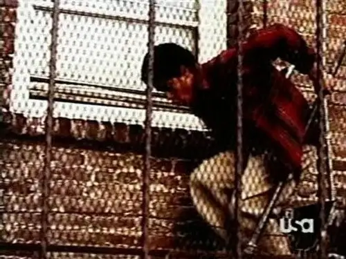 Nash Bridges Temporada 6 Episodios 12 • Sub Español
