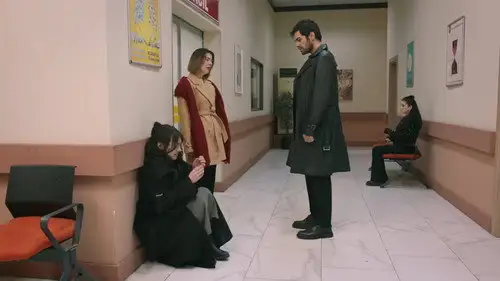 Rüzgarlı Tepe Temporada 1 Episodios 13 • Sub Español