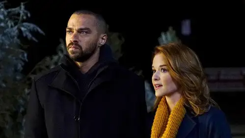 Anatomía de Grey Temporada 13 Cap 16 • Español Online