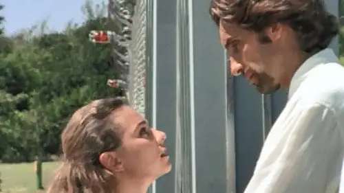 Walker Texas Ranger Temporada 2 Episodios 3 • Sub Español