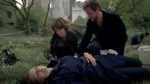 CSI: Nueva York Temporada 8 Episodios 9 • Sub Español