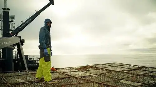 Pesca radical Temporada 15 Episodios 21 • Sub Español
