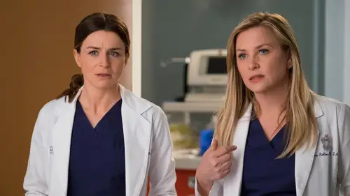 Anatomía de Grey Temporada 14 Cap 23 • Español Online