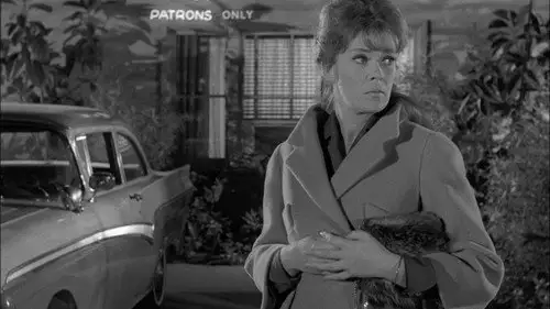 Perry Mason Temporada 6 Episodios 14 • Sub Español