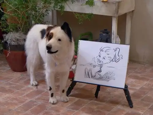 Mi perro tiene un blog Temporada 2 Episodios 15 • Sub Español