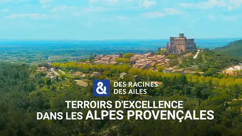 Des racines & des ailes Temporada 28 Episodios 6 • Sub Español