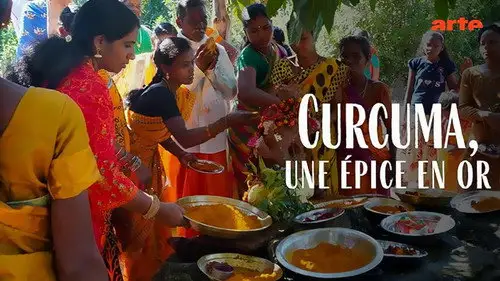ARTE 360° Reportage Temporada 22 Episodios 9 • Sub Español