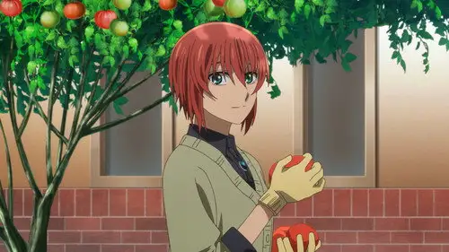 The Ancient Magus' Bride (Mahou Tsukai no Yome) Temporada 2 Episodios 17 • Sub Español