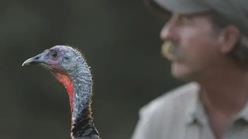 Nature S30E4 • Oglądaj Online
