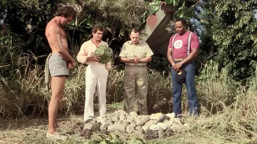Magnum 1980 Temporada 4 Episodios 10 • Sub Español