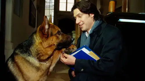 Rex, un policía diferente Temporada 2 Episodios 9 • Sub Español
