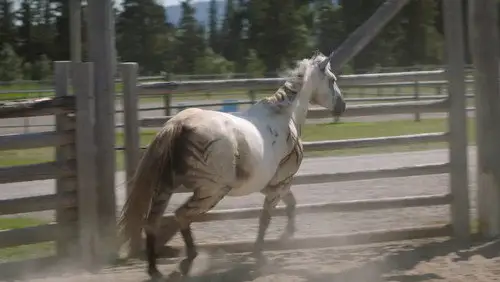 Heartland Temporada 16 Episodios 6 • Sub Español