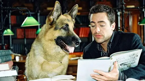 Rex, un policía diferente Temporada 9 Episodios 11 • Sub Español