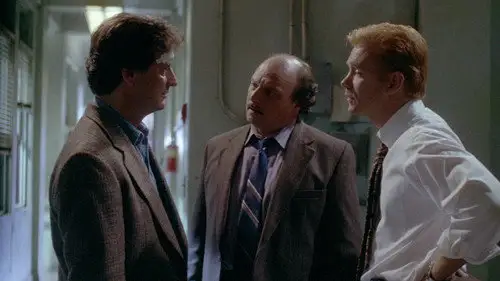 NYPD Blue Temporada 1 Cap 6 • Español Online