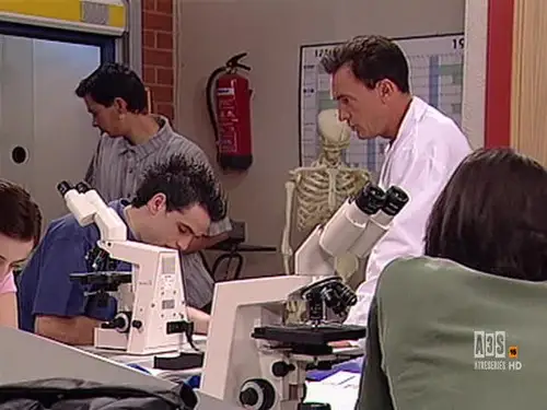 Compañeros Temporada 3 Episodios 10 • Sub Español