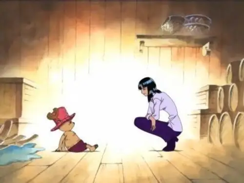 One Piece Temporada 5 Episodios 131 • Sub Español
