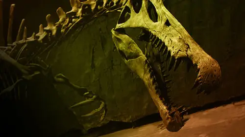 NOVA Temporada 42 Cap 7 • Español Online