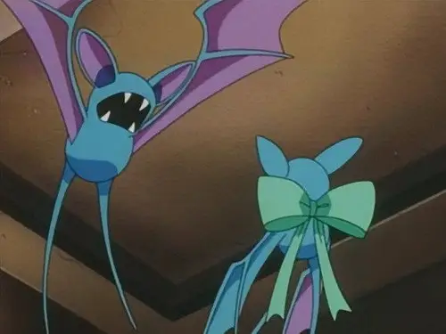 Pokémon Temporada 4 Episodios 8 • Sub Español