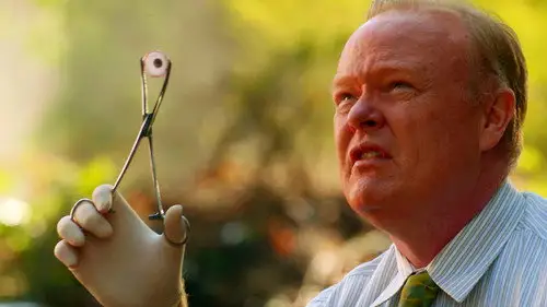 CSI: Miami Temporada 10 Episodios 4 • Sub Español
