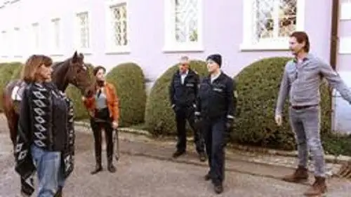 WaPo Bodensee Temporada 6 Episodios 8 • Sub Español
