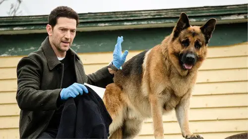 Hudson & Rex Temporada 8 Episodios 4 • Sub Español