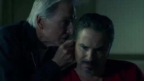 Navy: Investigación criminal Temporada 15 Episodios 22 • Sub Español