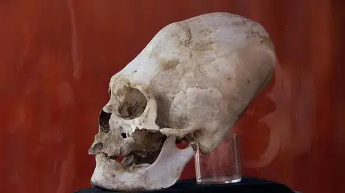 Alienígenas ancestrales Temporada 5 Episodios 8 • Sub Español
