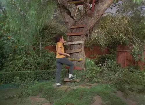 The Brady Bunch Temporada 2 Episodios 11 • Sub Español