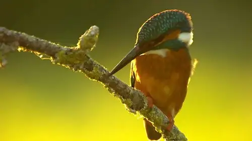 Countryfile S33E20 • Oglądaj Online