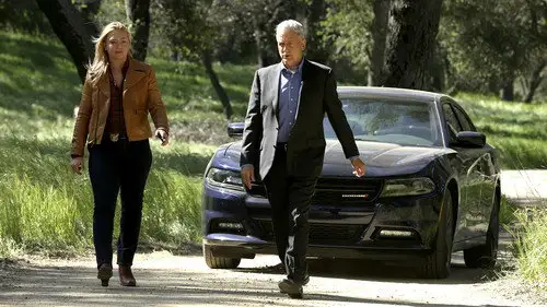 Navy: Investigación criminal Temporada 14 Episodios 22 • Sub Español