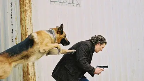 Rex, un policía diferente Temporada 9 Episodios 9 • Sub Español