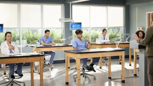 Anatomía de Grey Temporada 20 Episodios 1 • Sub Español