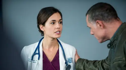 Chicago P.D. Temporada 3 Episodios 10 • Sub Español