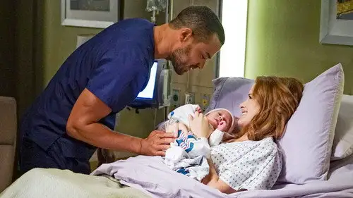 Anatomía de Grey Temporada 13 Cap 1 • Español Online