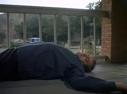 Ironside Temporada 1 Episodios 1 • Sub Español