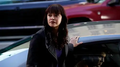 Familia de policías Temporada 8 Episodios 10 • Sub Español