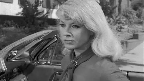 Perry Mason Temporada 6 Episodios 3 • Sub Español
