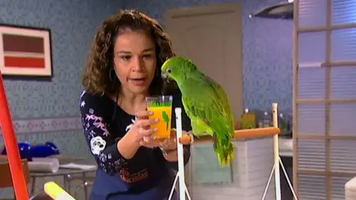 A Diarista Temporada 3 Episodios 9 • Sub Español