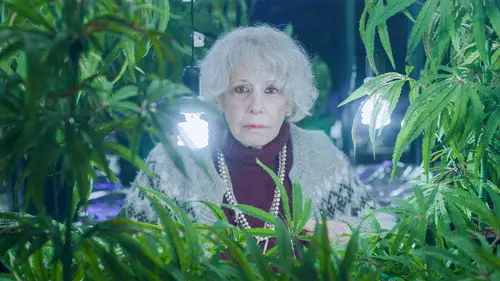 Family Business Temporada 1 Episodios 5 • Sub Español