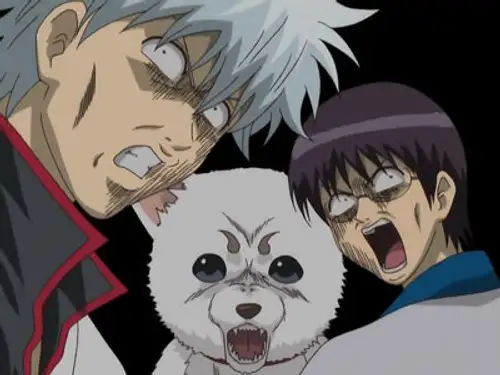 Gintama Temporada 2 Episodios 24 • Sub Español