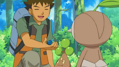 Pokémon Temporada 10 Episodios 14 • Sub Español