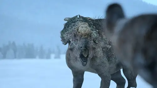 Planeta prehistórico Temporada 0 Episodios 7 • Sub Español